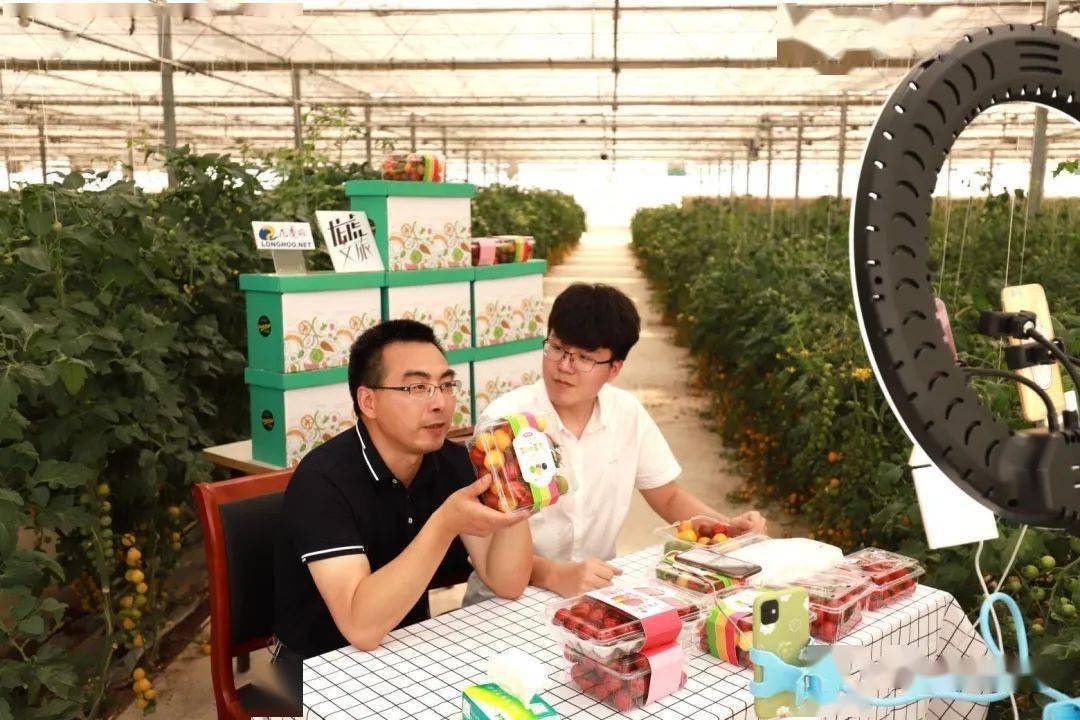 番茄直播最新版，全新互动娱乐时代体验