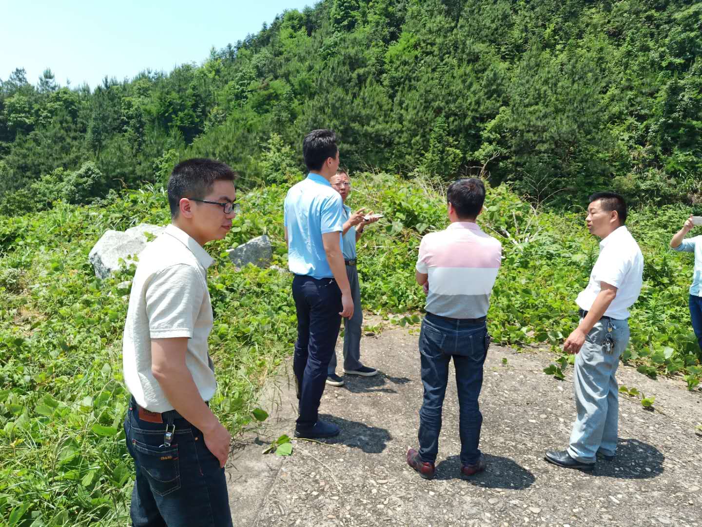 山中奇遇，查山最新事件与友情的温暖瞬间