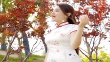 钢板加工 第206页