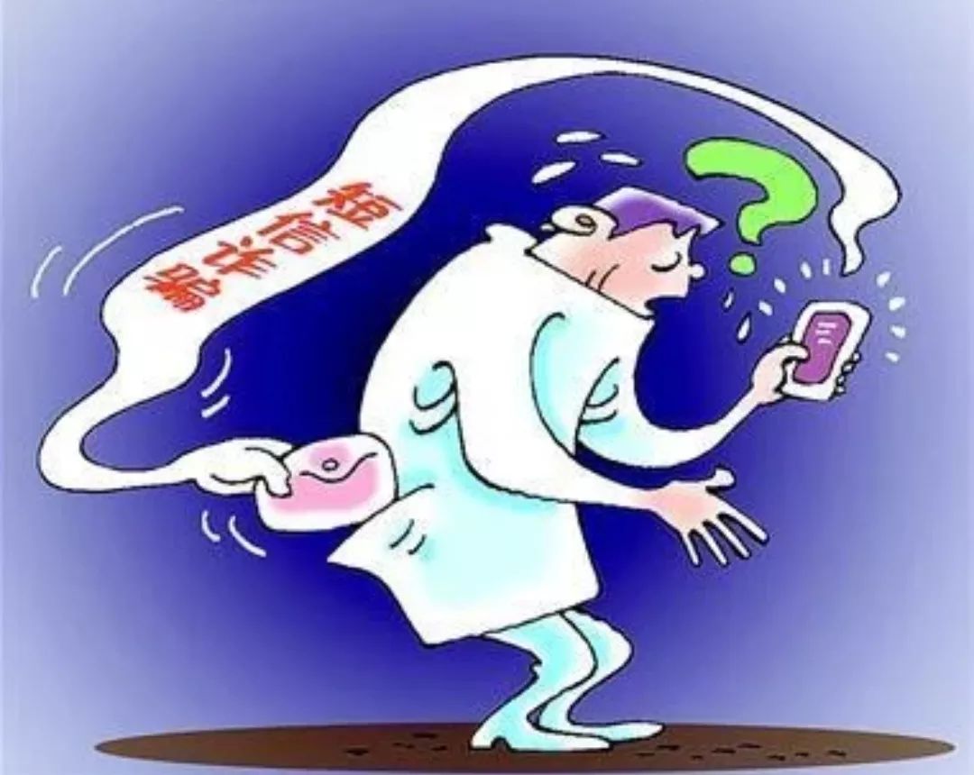 跑狗网最新动态，狗步轻扬，友情长存