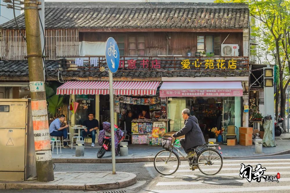 美的孝闻街最新动态与风景，繁花似锦的季节