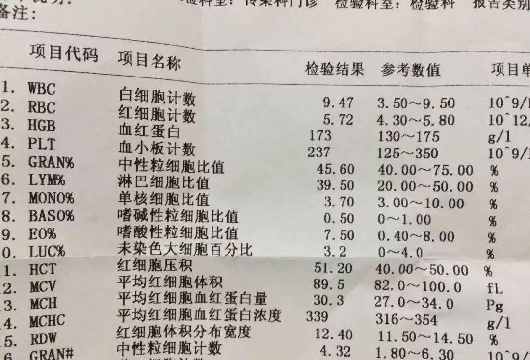儿童血常规参考范围标准详解，小宝贝的健康冒险与成长故事