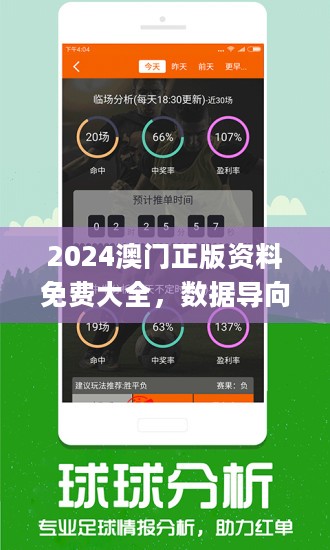 2024年新澳门王中王免费,互动性策略设计_轻奢版59.201