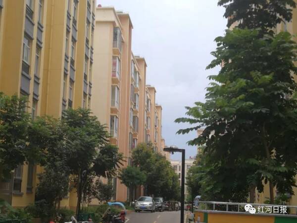 普洱市公共租赁住房最新动态及小巷深处的特色小店揭秘