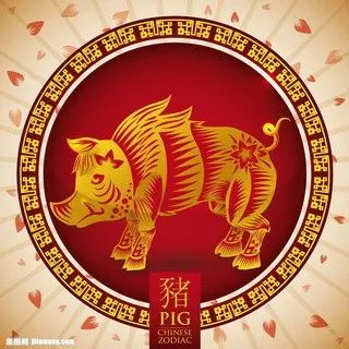 镀锌板 第173页