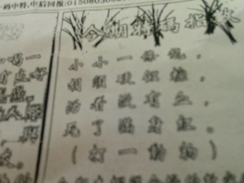 刘伯温三肖八码免费公开,心理学_随身版60.503