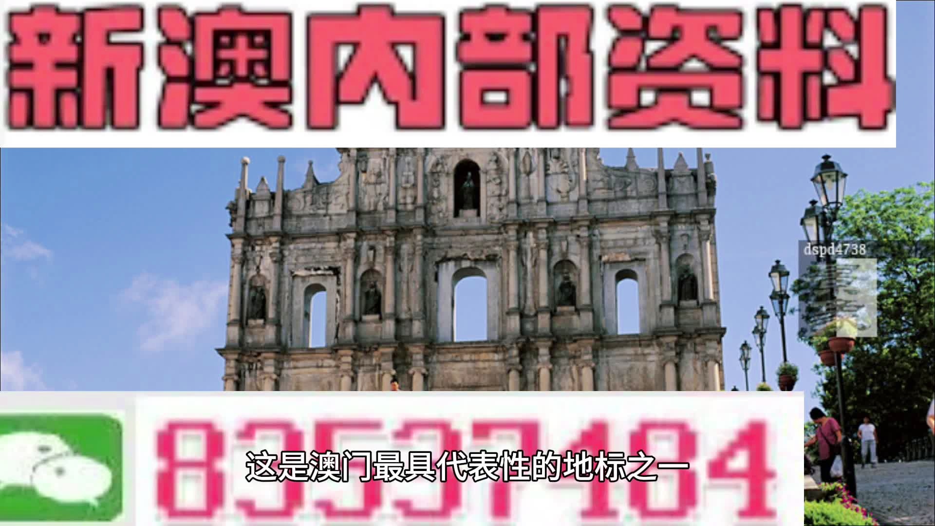 新澳2024正版免费资料,现代化解析定义_专业版52.117