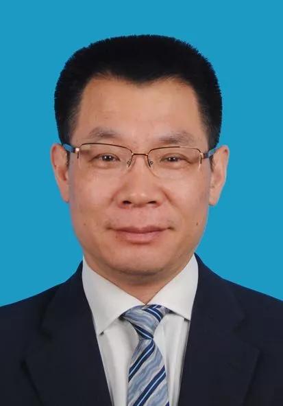 2024新奥资料免费精准天天大全,精准解答方案详解_安静版79.574