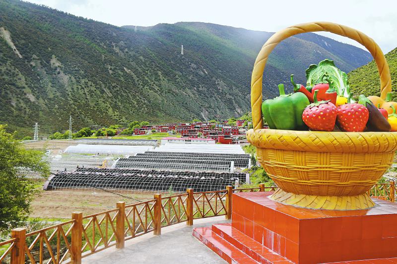 藏区最新动态，与自然美景邂逅的平和之旅