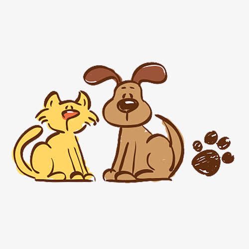 猫狗动漫图片，自信与成就感的成长之旅
