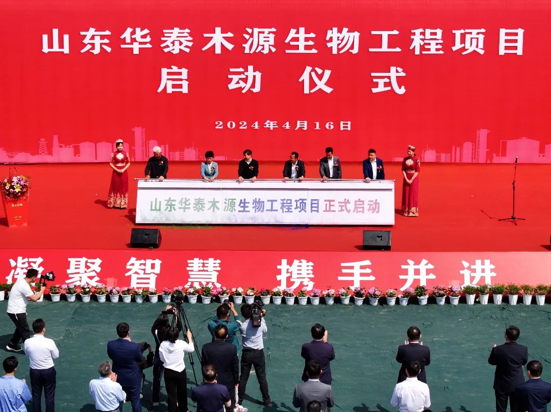 阳谷华泰最新动态概览🌟