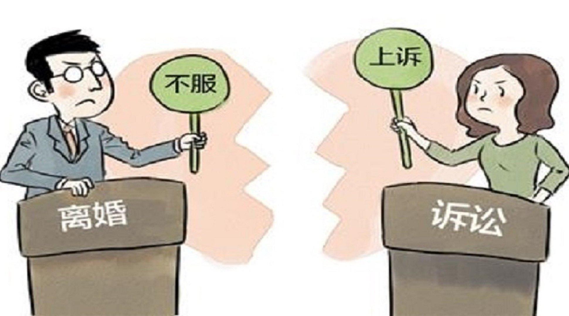 最新离婚诉讼动态，法律变迁与时代趋势的影响