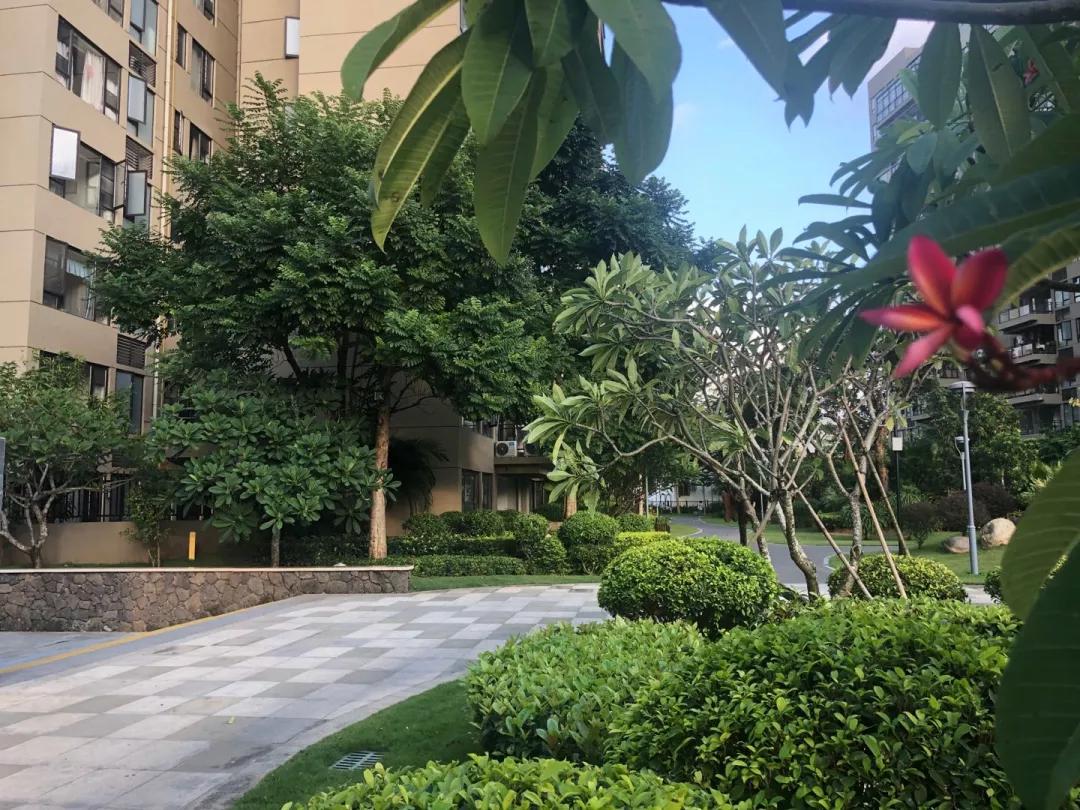 三亚南枫禅墅最新住宅价格揭秘，小巷深处的惊喜发现