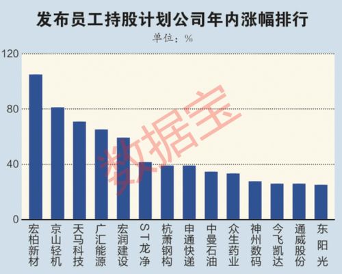 上市公司员工持股计划，员工持股之旅的奥秘探索