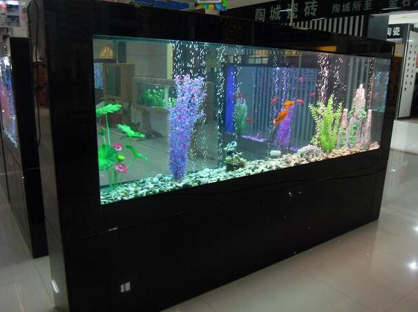 揭秘鱼缸价格大解密🐟，选购指南助你轻松挑选心仪鱼缸
