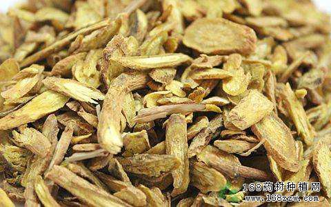 黄芩行情深度解析与探讨
