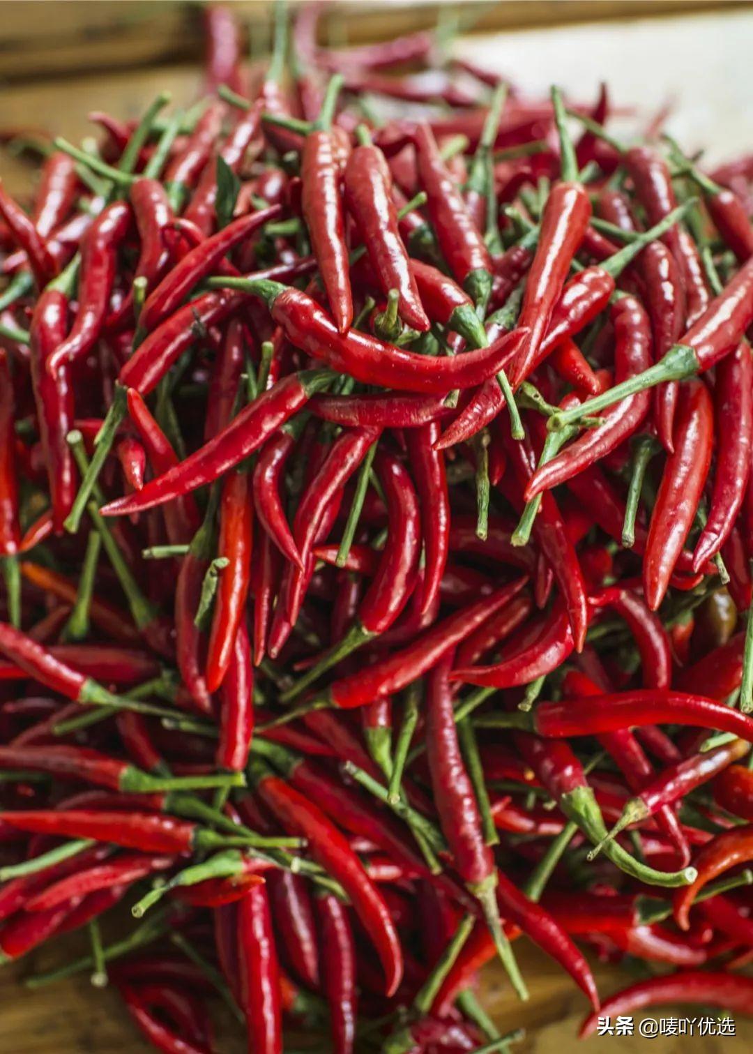 今日小辣椒价格行情深度解析，市场走势大揭秘🌶️