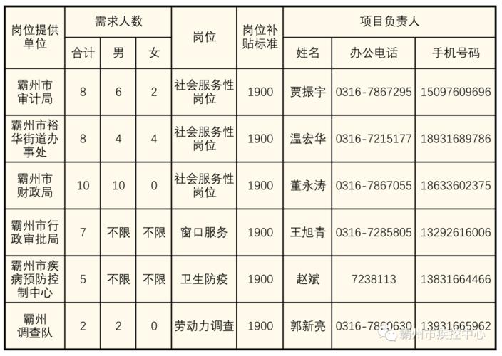 晋州女性招聘信息，职场与友情的温馨交汇点