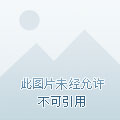 贵州茅台酒每日行情动态更新