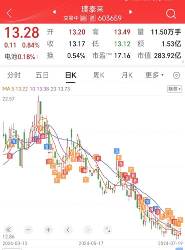 璞泰来股票股吧，投资热点深度解析与探讨