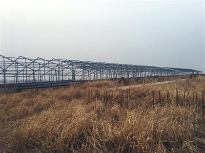 沈阳辉山乳业最新动态，自然美景探索之旅的鼓舞启程