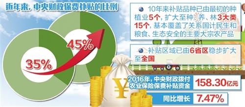 农业保险资讯速递，守护田野的坚实后盾力量