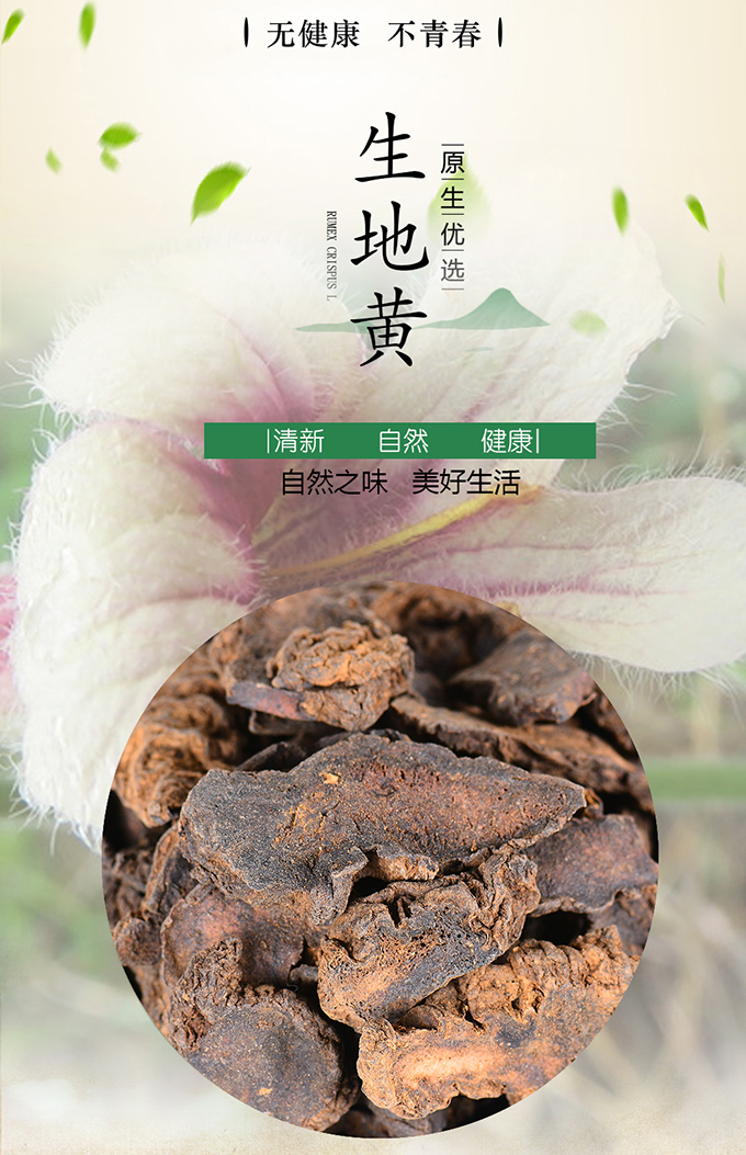 地黄最新价格，市场走势分析与购买指南