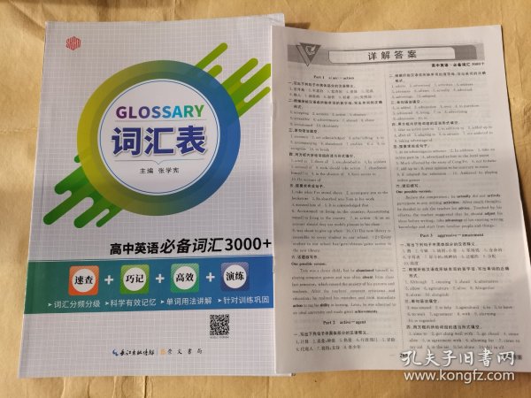 最新词汇2025，语言发展的观察与反思