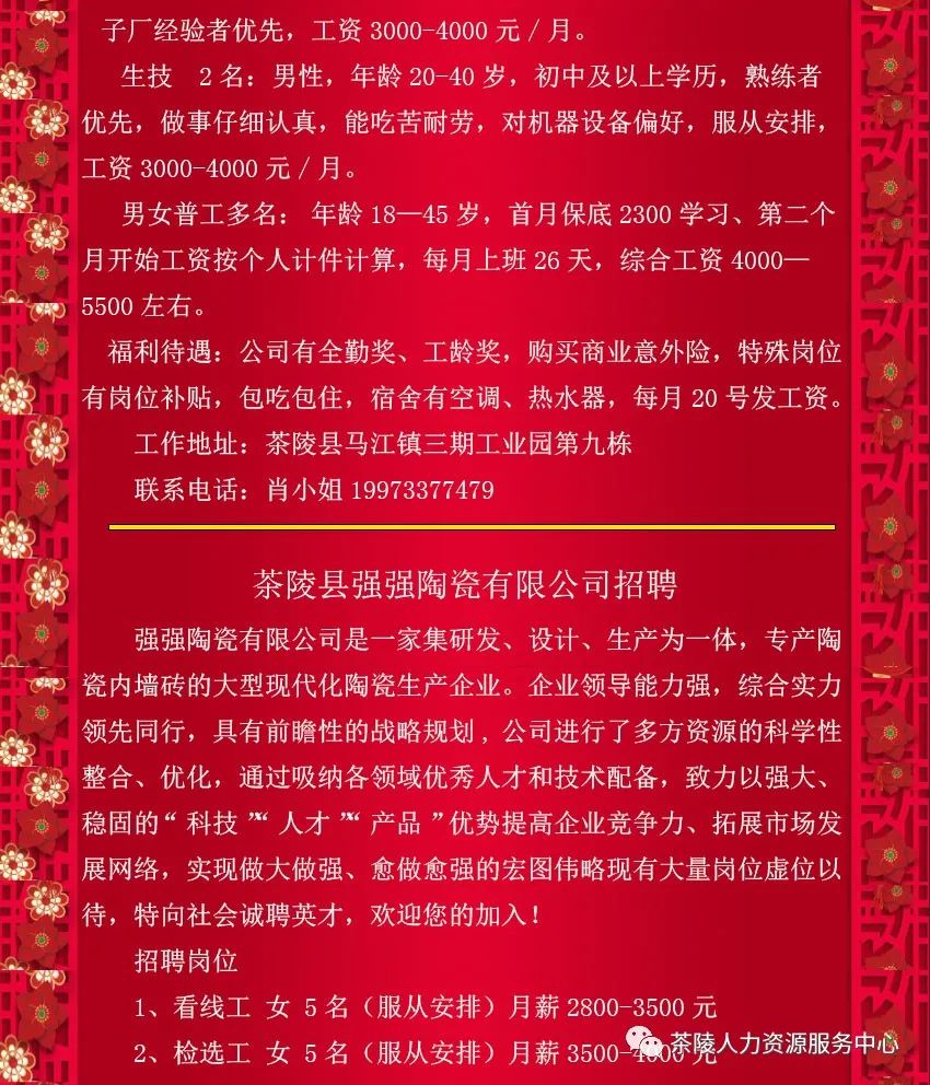 磁灶最新招聘详解，步骤指南与职位信息更新