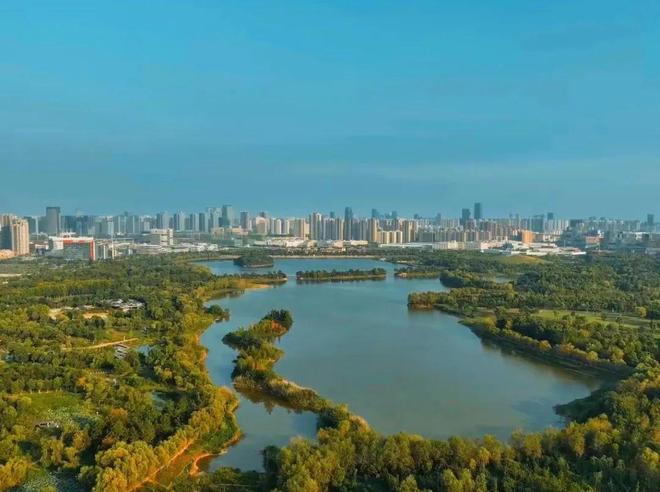 合肥南艳湖最新高科技产品亮相，引领未来科技潮流